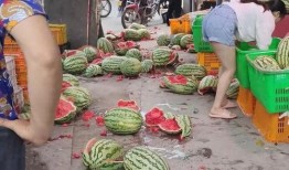 老婆爆料水果店视频大全,水果店视频大全，揭秘水果界的秘密！